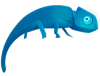 ChameleonDR Logo Icon